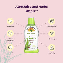 Close-up of Lily of the Desert Aloe Vera leaf, main ingredient in Detox Formula