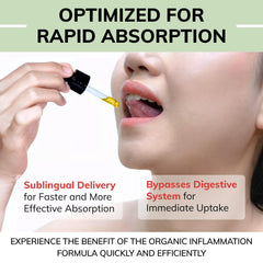 Limelight Herbals absorption graph demonstrates high bioavailability with black pepper.
