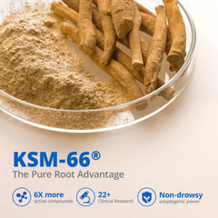 LincNutri Ashwagandha capsules close-up for calm mood support