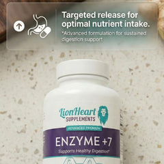 LionHeart Ox Bile 30mg tablet close-up emphasizes post-meal comfort after meals.