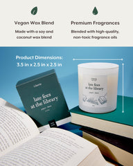 Literie librarian-inspired library scene conveys sophisticated home decor vibe.