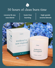 Literie sea breeze fragrance wax pour captures fresh coastal aroma and calm moments