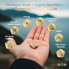 LIVEGOOD Sea Moss and Shilajit duo packaging showing comprehensive wellness synergy.