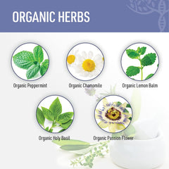 Liver Medic Zen Sleep lemon balm leaf with citrus notes