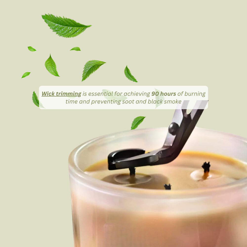 Living Good Claricomb reusable jar hints at eco friendly refills