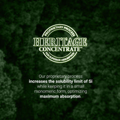 Living Silica vegan packaging highlights eco-friendly materials.