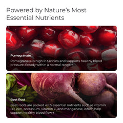 Livingood Daily Blood Pressure Support label front shows vegan, gluten-free capsules.
