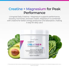 Livingood Daily Creatine Magnesium Powder 30-servings bottle sustains performance and muscle endurance.