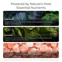 Livingood Daily Electrolytes dissolving in water for easy hydration.