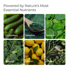 Livingood Daily Greens packaging travel-friendly design suits busy lifestyles