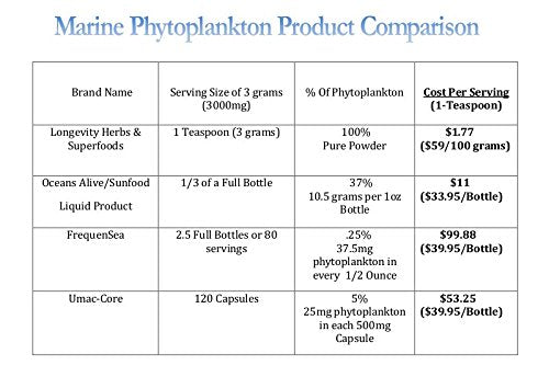 Longevity Herbs Marine Phytoplankton powder in a smoothie for a convenient energy boost.