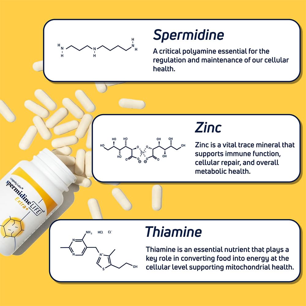 Longevity Labs+ spermidineLIFE Extra+ European wheat germ extract emphasizes plant-based origin.