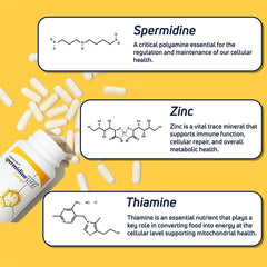Longevity Labs+ spermidineLIFE Extra+ European wheat germ extract emphasizes plant-based origin.