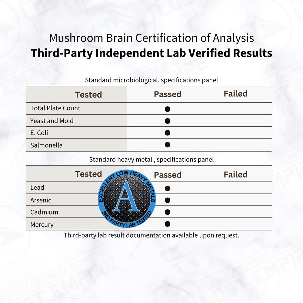 Lost Empire Herbs Mushroom Brain label close-up reveals ingredients for cognitive versatility.
