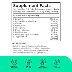Love Life Supplements EAA scoop with powder for convenient workouts