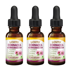 LOVITA echinacea extract liquid bottle on counter for daily immune support.