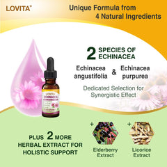 Close-up of LOVITA echinacea liquid drops dispensing into a glass.