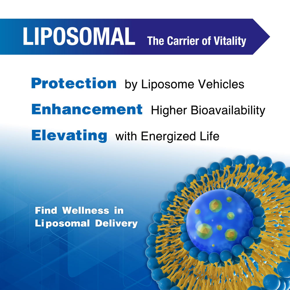 Lovita enteric-coated capsules pack designed for digestion-friendly delivery.