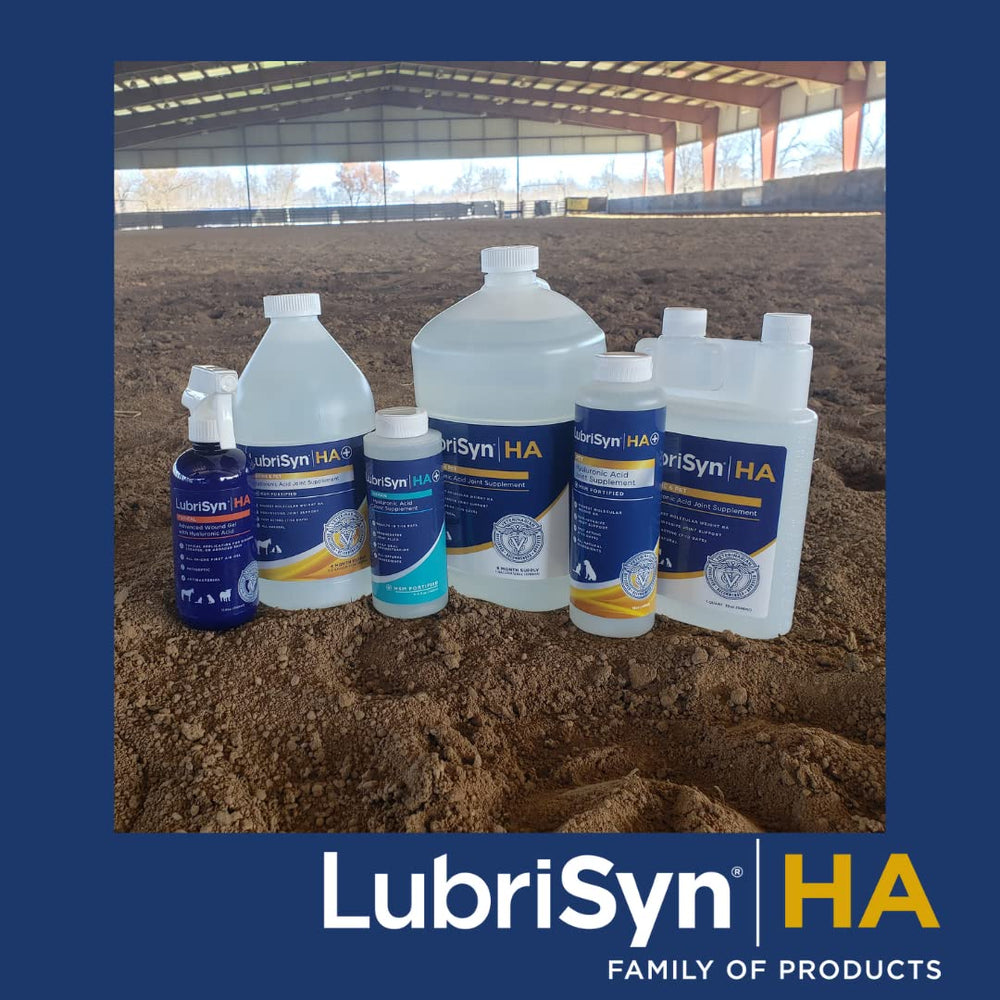 LubriSyn glossy packaging communicates premium joint care.