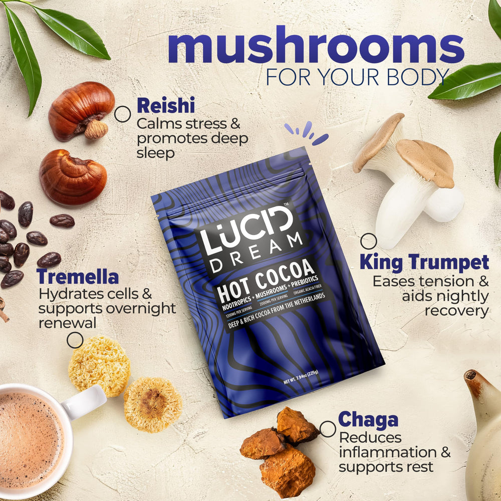 Lucid Dream Mushroom Hot Cocoa relaxation ritual creates a cozy nighttime wind-down