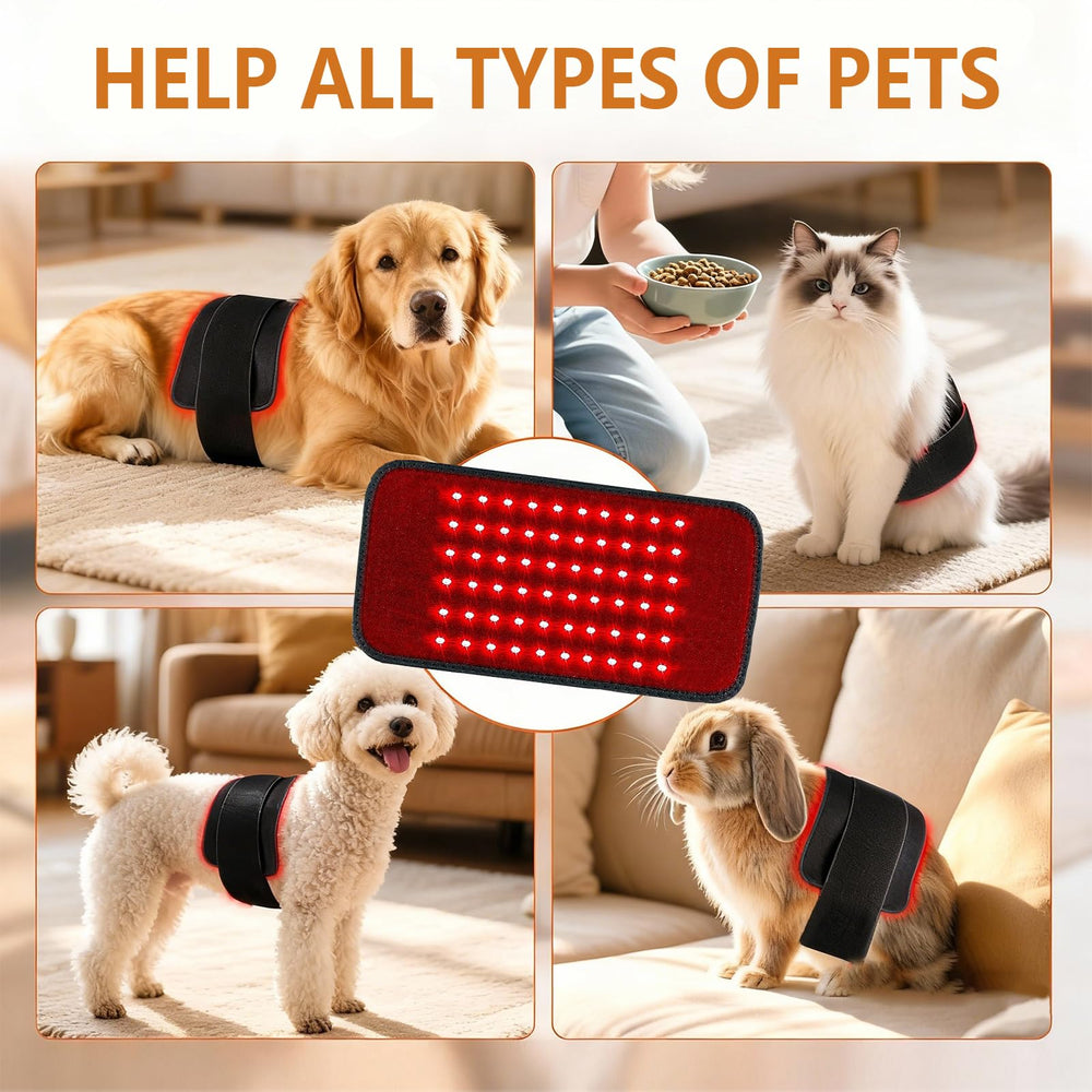 Luma Pet Care plug-in unit with clear manual supports home use sessions.