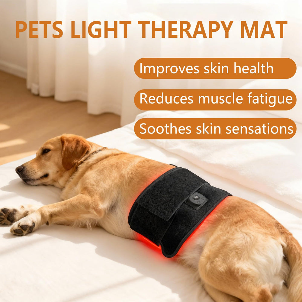 Luma Pet Care therapy pad surface showing durable TPU casing for easy cleaning.