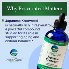 LymeCore Japanese Knotweed tincture amber bottle signaling purity.