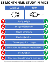 Poured NMN capsules for easy daily dosing and routine