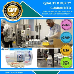 Purity and GMP standards graphic reinforces product integrity.