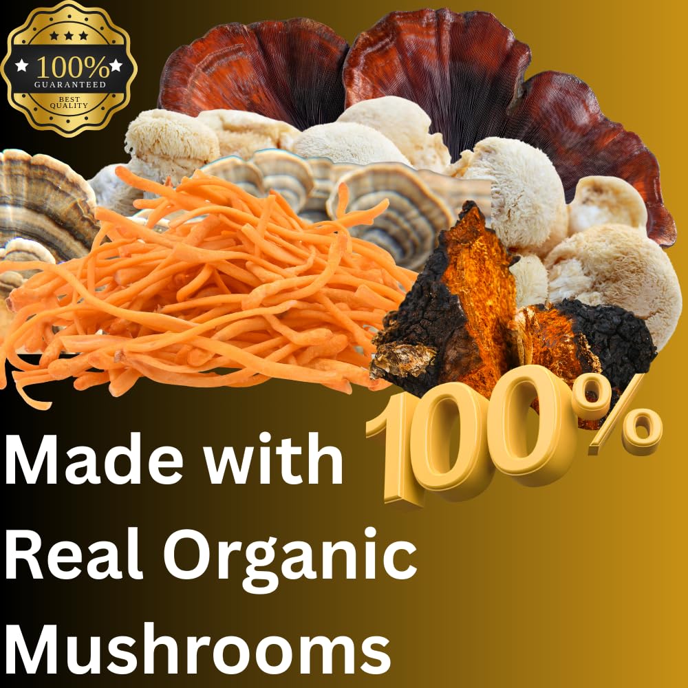 Mag Mushrooms Daily Routine blend with Lion's Mane and friends for cognitive support.