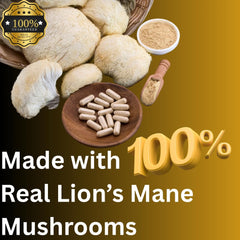 Mag Mushrooms double extraction process captures a broad range of benefits.