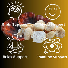Mag Mushrooms Reishi and Lion's Mane blend on the label signaling natural, broad-spectrum benefits.