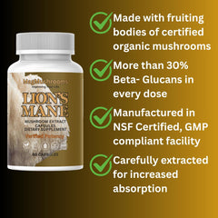 Mag Mushrooms Lion’s Mane label shows 60 capsules for a month.