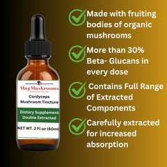 Mag Mushrooms product label closeup shows double extraction quality