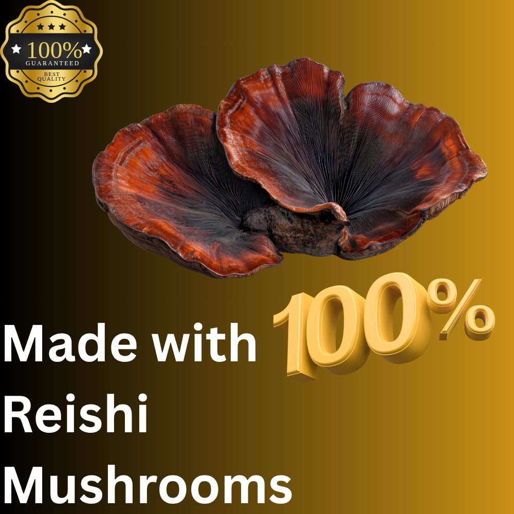 Mag Mushrooms Reishi tincture in an amber bottle for potency protection