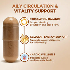 Maia Nattokinase circulation graphic illustrating cardiovascular wellness benefits.