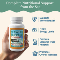 Sustainable sourcing and packaging of Maine Coast Sea Vegetables products.
