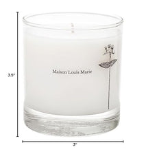 Maison Louis Marie Antidris Jasmine Candle in-room-shot conveys luxurious mood for modern homes.
