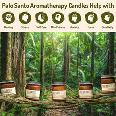 Gift-ready Maison Palo Santo box ideal for housewarmings
