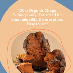 Malama Chaga powder dissolving in hot water for a soothing drink.