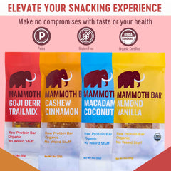 Mammoth Bar raw organic protein bar in almond vanilla close-up, highlighting natural ingredients.