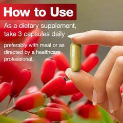 MAMOWYZ Berberine HCl 97% capsule close-up for potent natural support.