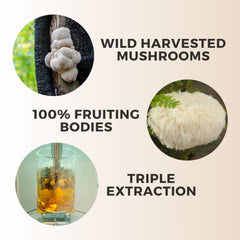 Manuka Mana Lions Mane Think Honey 2 fl oz bottle for daily use.