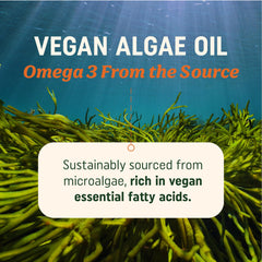 MAV Nutrition omega-3 softgels close-up showing easy-to-swallow capsule