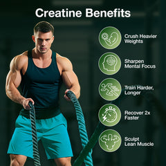 Travel-friendly MaxHemp creatine gummies packaging for busy lifestyles.