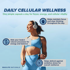 MAXLIFE NATURALS Neuro NACET daily-dose scene shows simple routine use