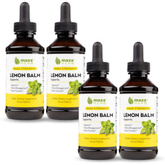 Maxx Herb Lemon Balm Extract bottle front view for calming support
