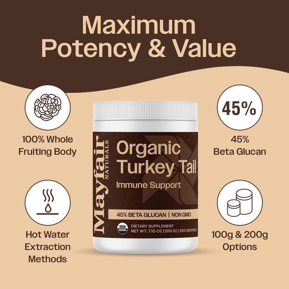 Mayfair Naturals turkey tail powder in tea for a warm daily ritual.