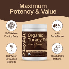 Mayfair Naturals turkey tail powder in tea for a warm daily ritual.