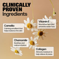 Medicine Mama's Apothecary VMAGIC chamomile close-up with soothing botanicals